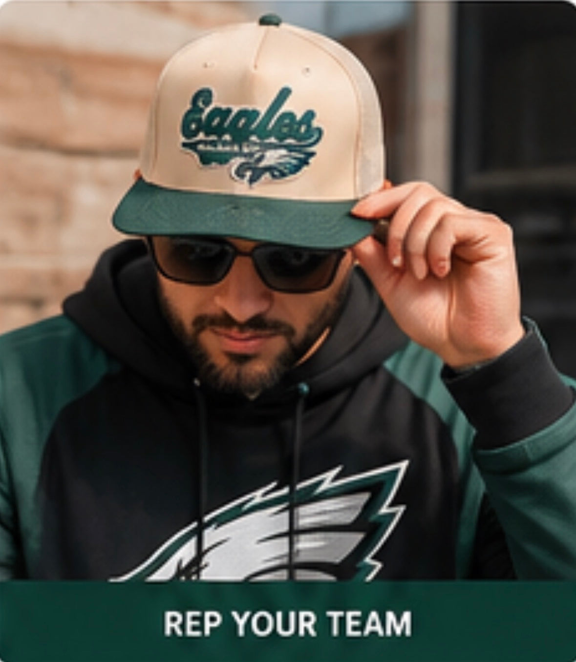Fly Eagles Fly